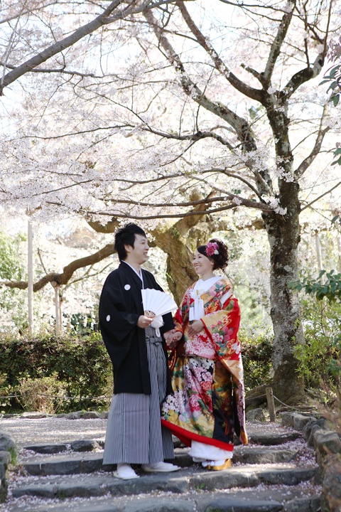 京都円山公園【名勝】